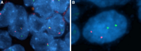 Fig. 3