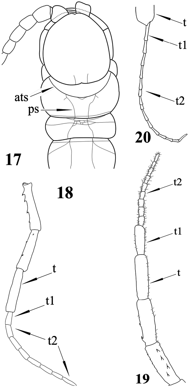 Figures 17–20.