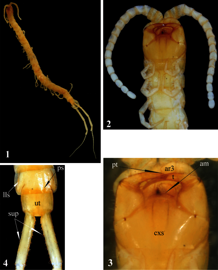 Figures 1–4.