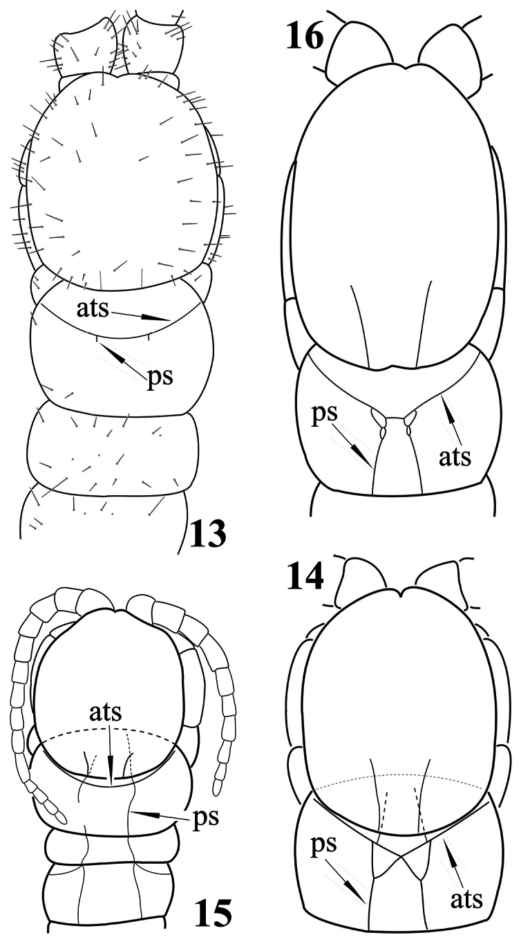 Figures 13–16.