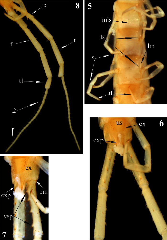 Figures 5–8.