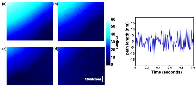 Fig. 4