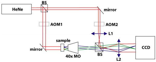 Fig. 1