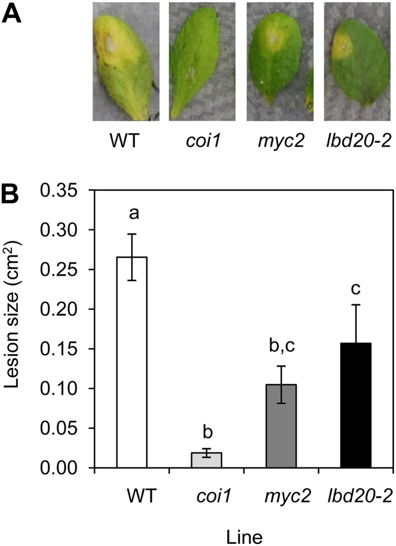 Figure 6.