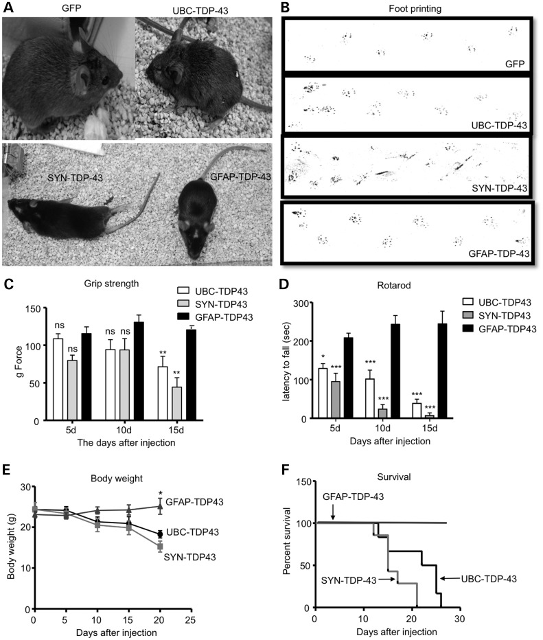 Figure 6.