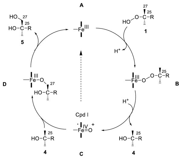 Scheme 2