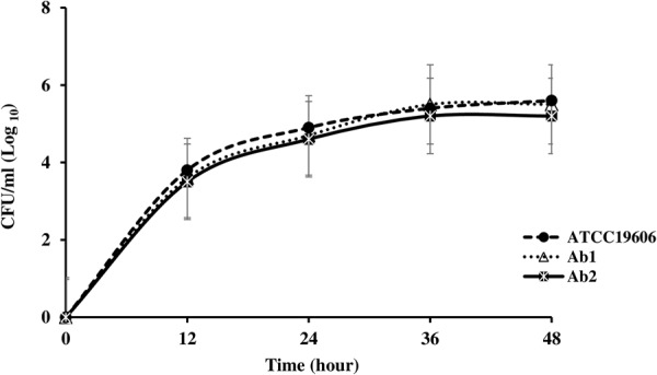 FIGURE 3