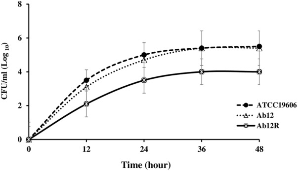 FIGURE 4