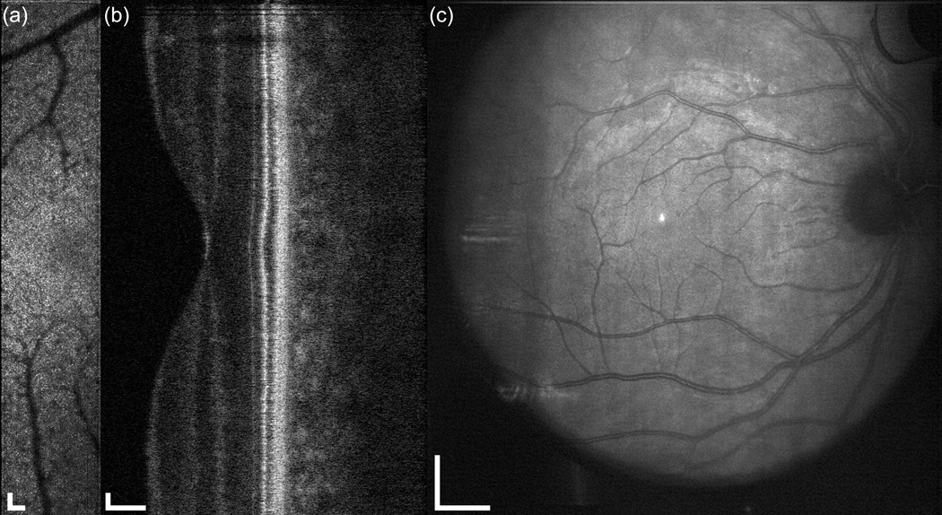 Fig. 9