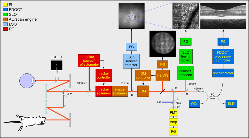 Fig. 2