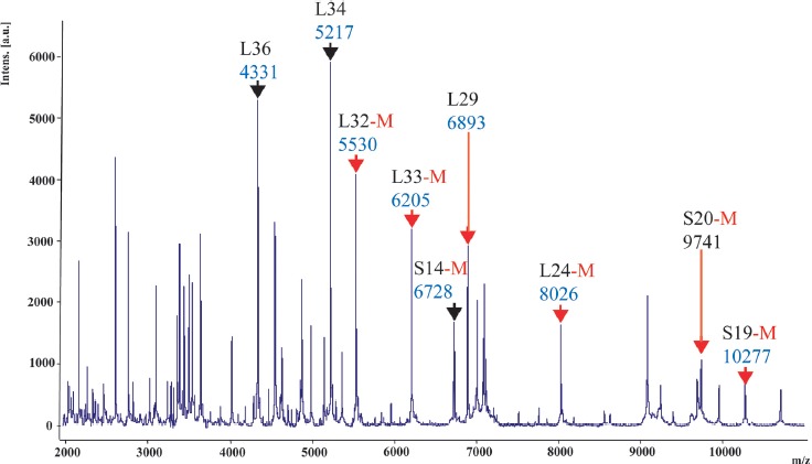 Figure 2.