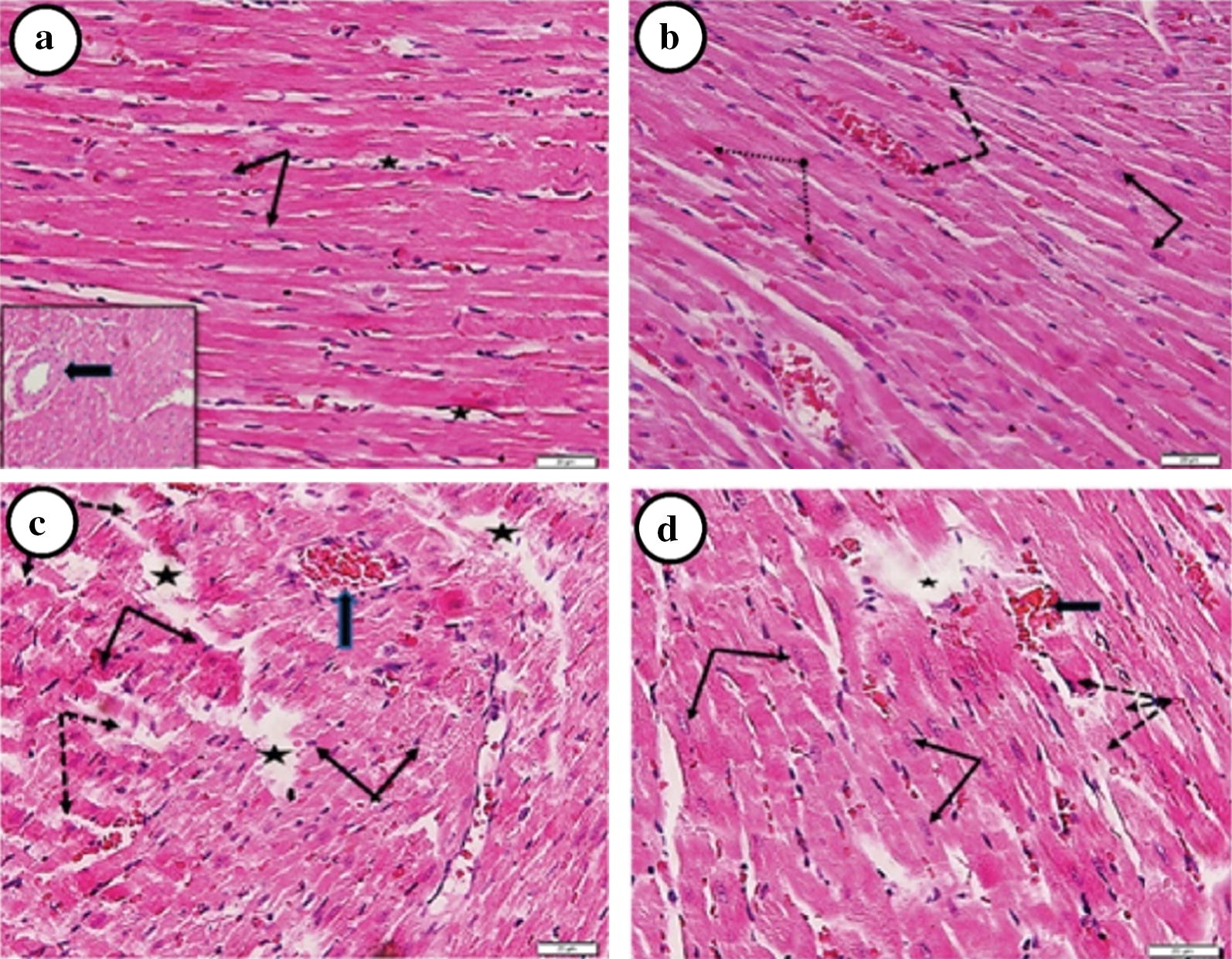 Fig. 4