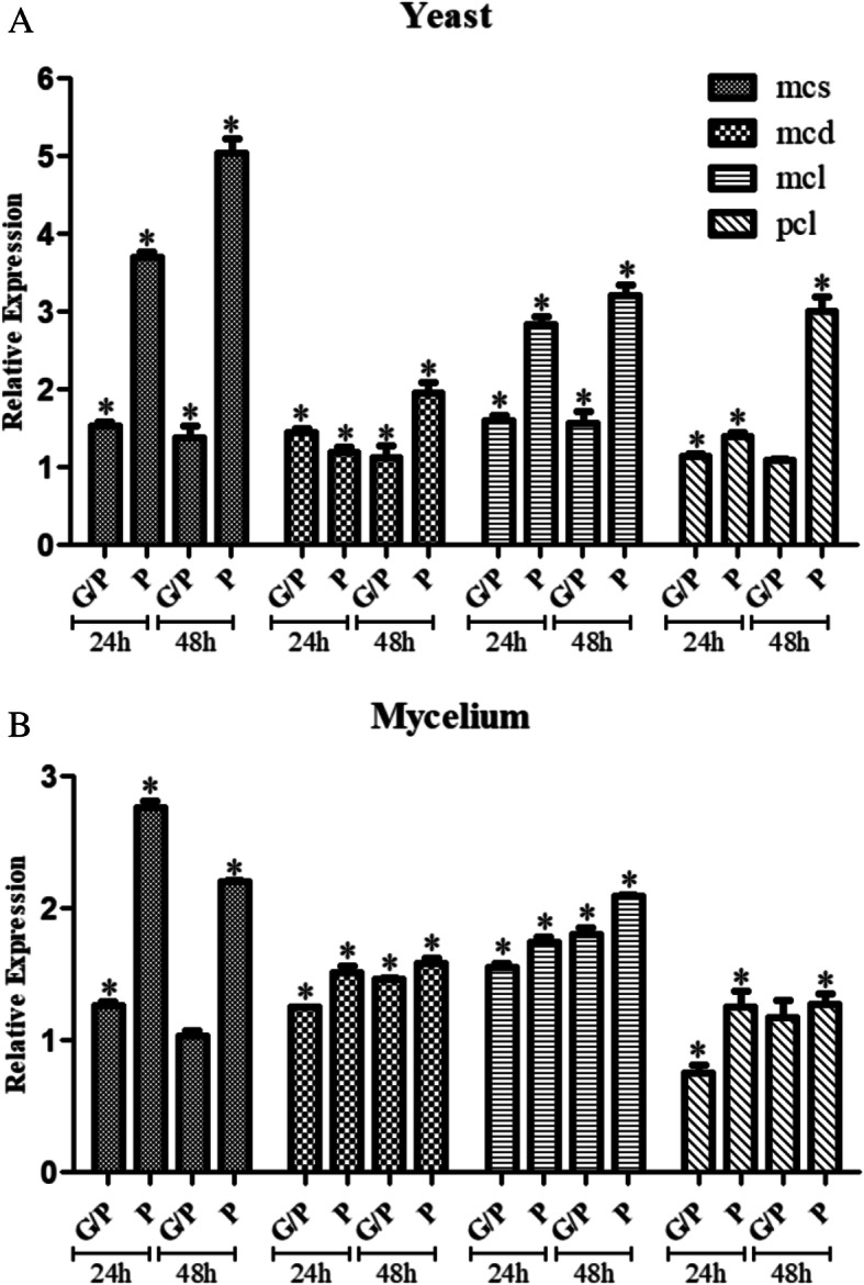 Fig. 4