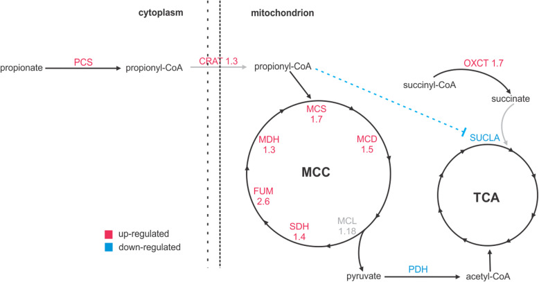 Fig. 7