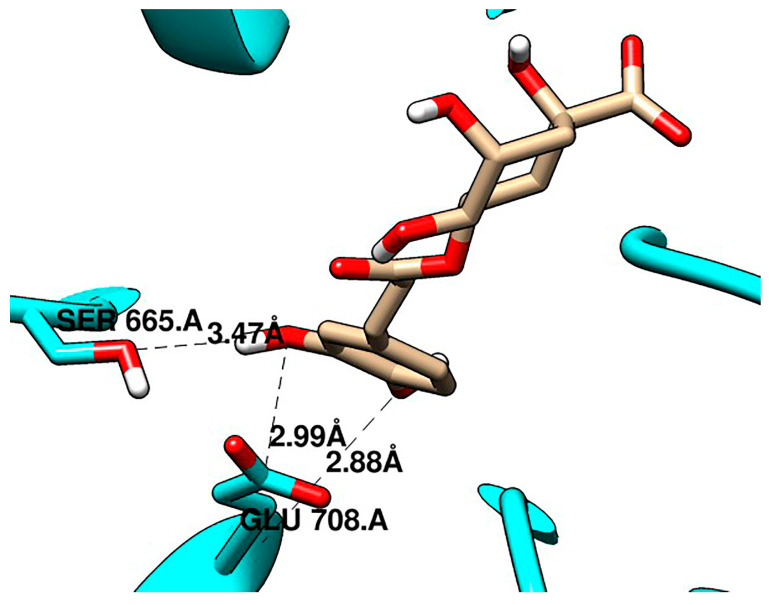 Figure 7