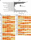 Figure 2—figure supplement 3.