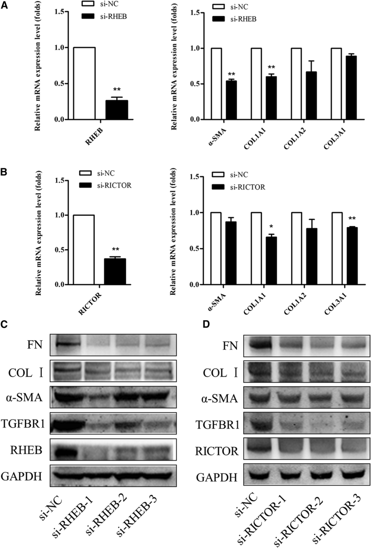 Figure 6