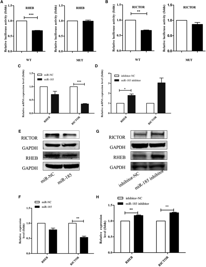 Figure 5