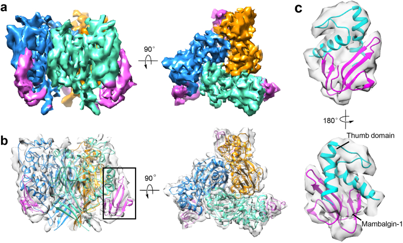 Fig. 2