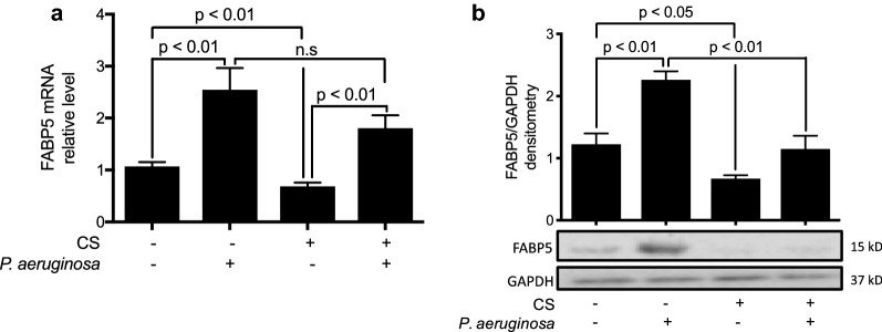 Fig. 2