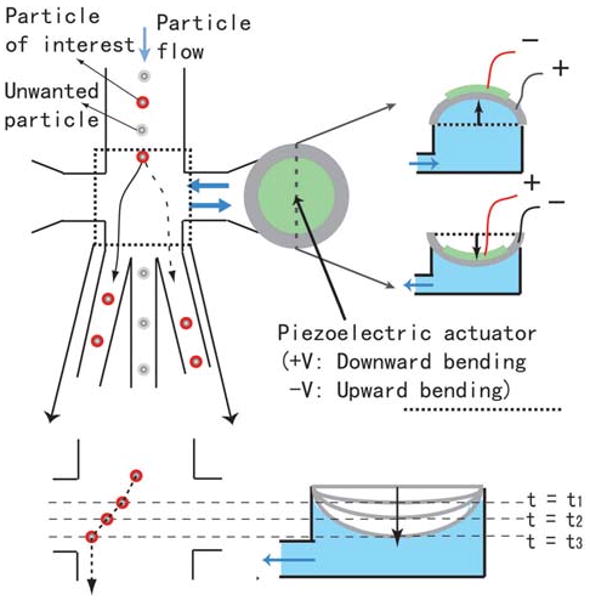 Figure 16