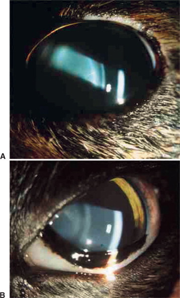 Figure 18-2