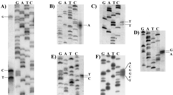 FIG. 3