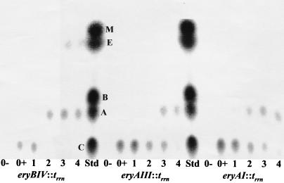 FIG. 7