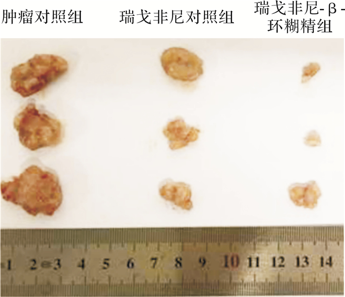 graphic file with name zjdxxbyxb-46-2-144-9.jpg