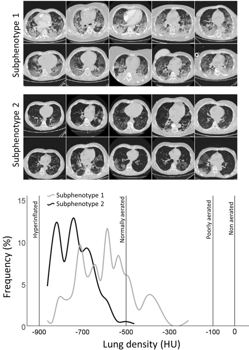 Fig. 2