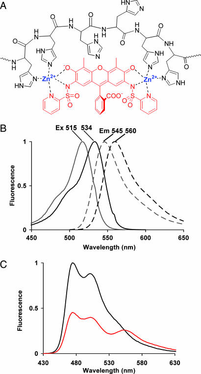 Fig. 1.