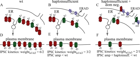 FIGURE 11.