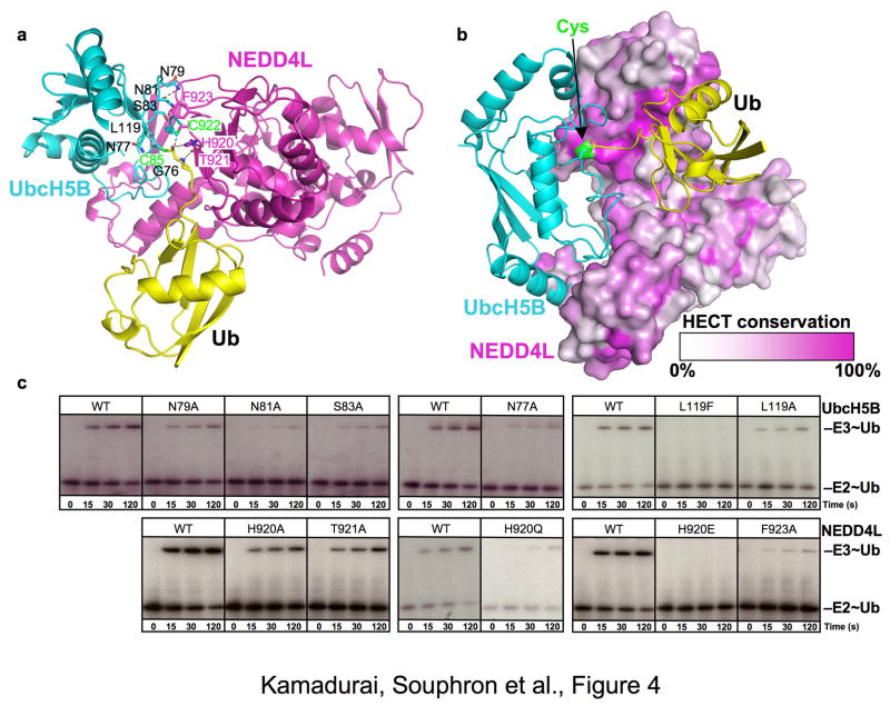 Fig 4