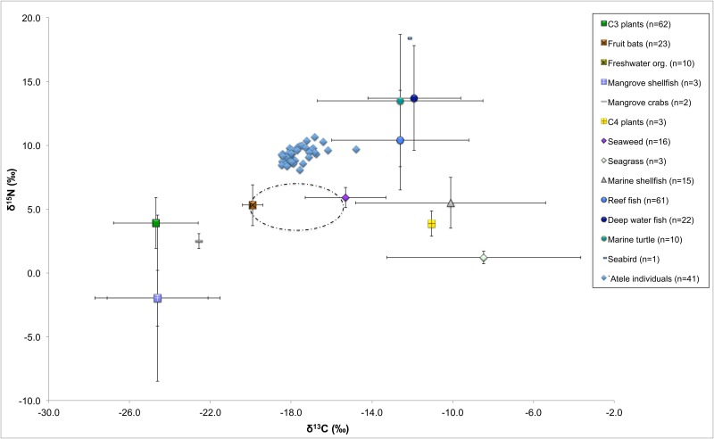 Fig 10