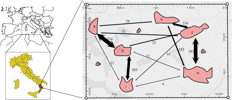 Fig. 1