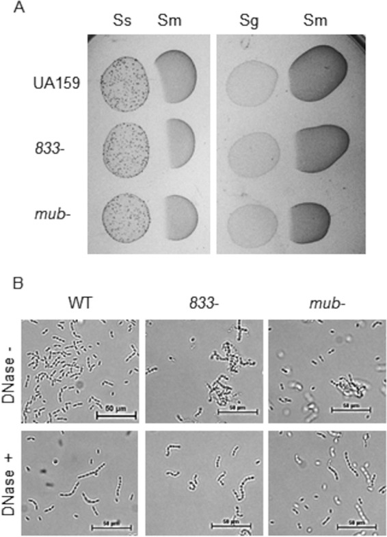 FIG 6