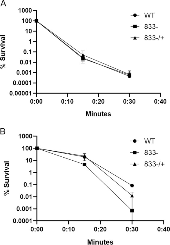 FIG 2