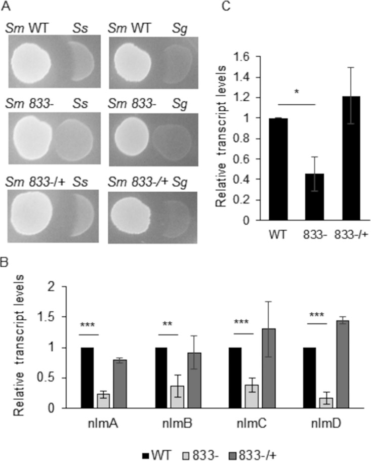 FIG 3