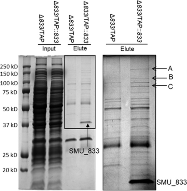 FIG 5