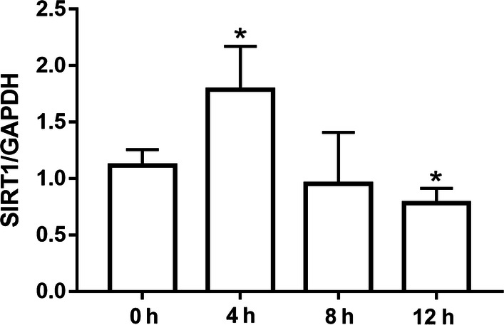 Figure 3