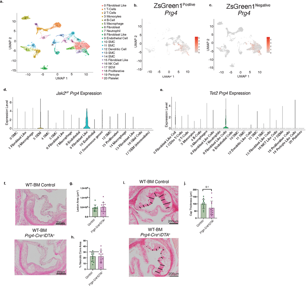 Extended Data Fig. 5 |
