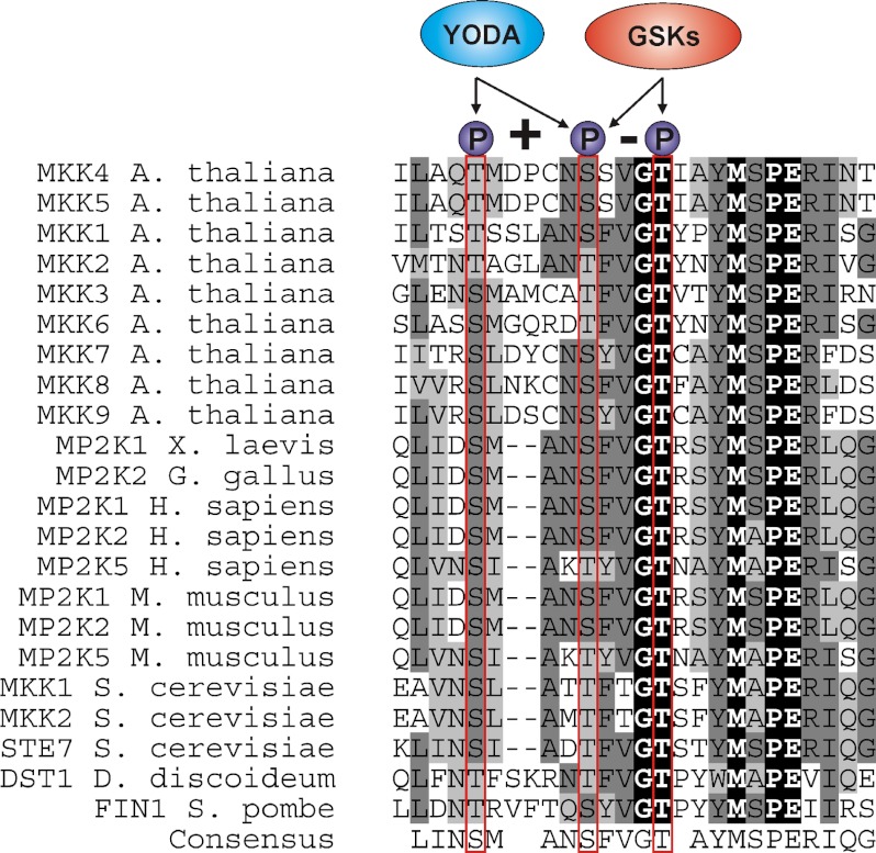 FIGURE 7.