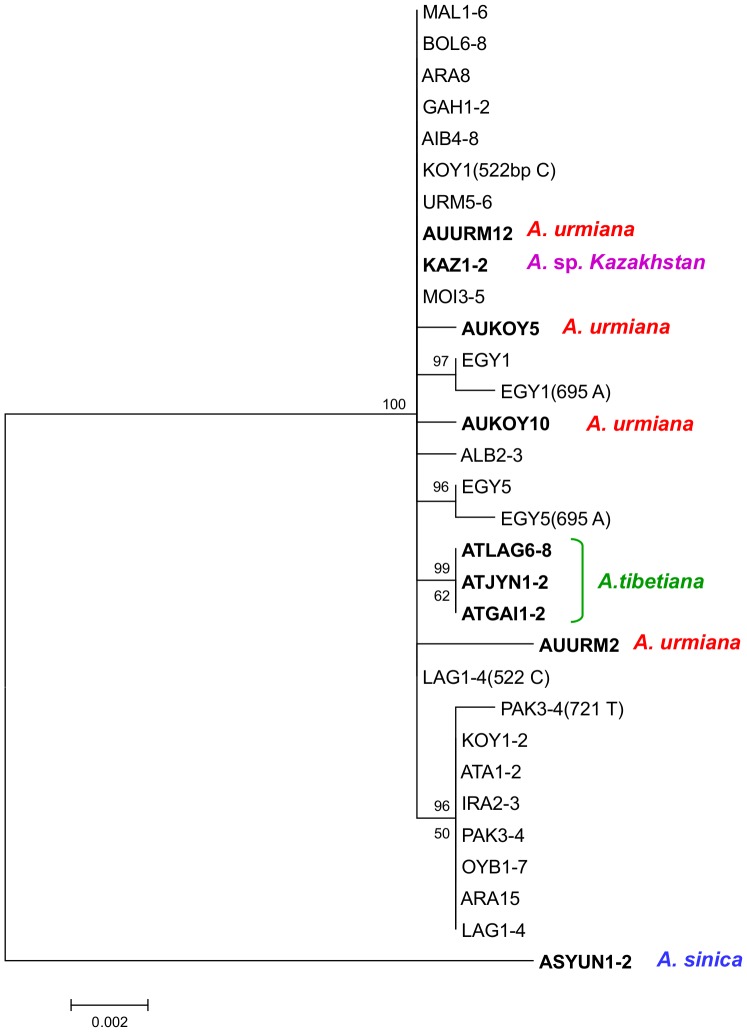 Figure 5