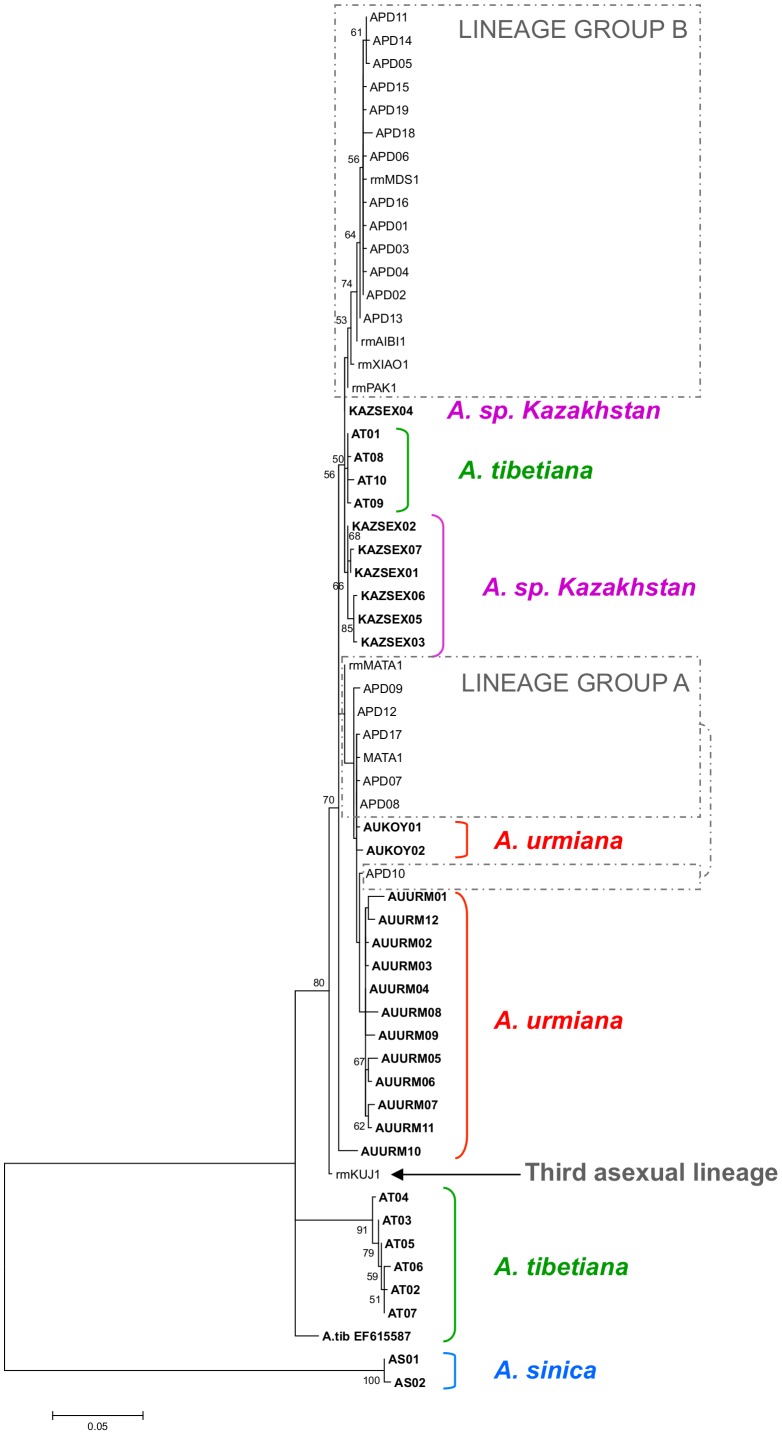 Figure 2