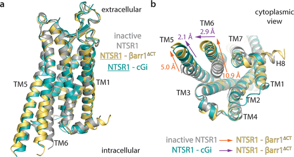 Figure 2 –