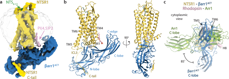 Figure 1 –