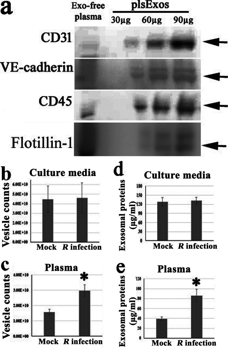 FIG 2