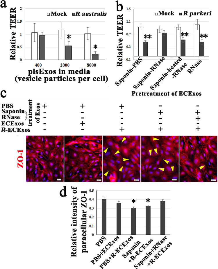 FIG 4