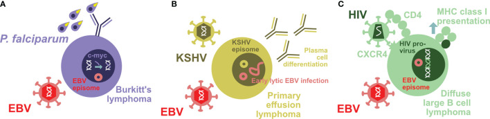 Figure 1