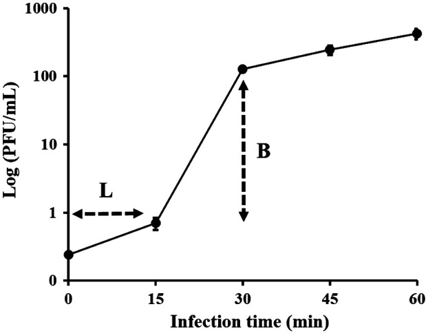 Figure 3.